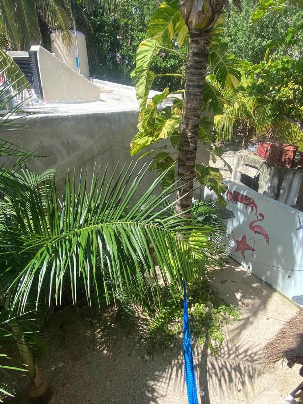 Hotel Pelicano Isla Holbox