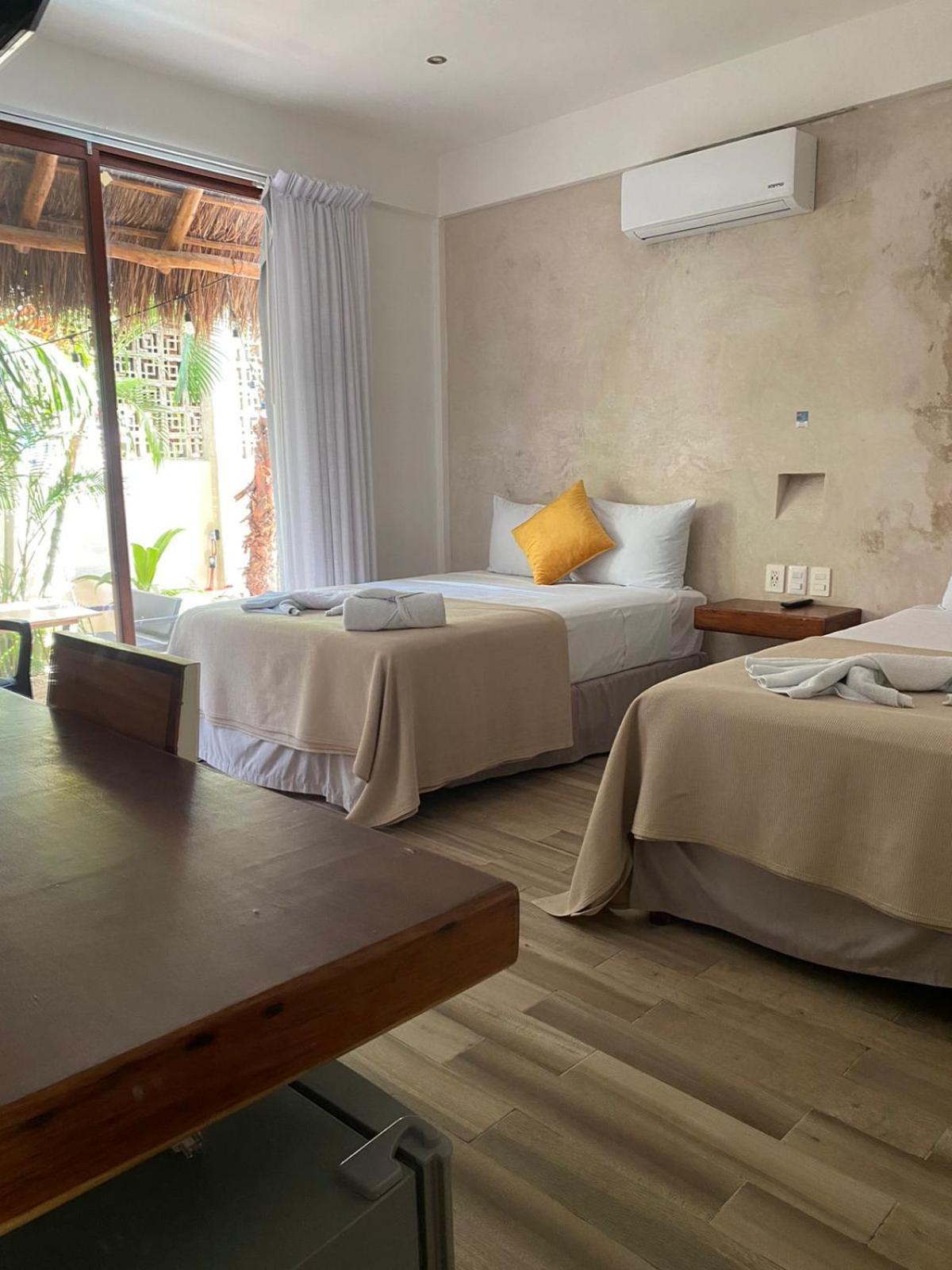 Pelicano Isla Holbox