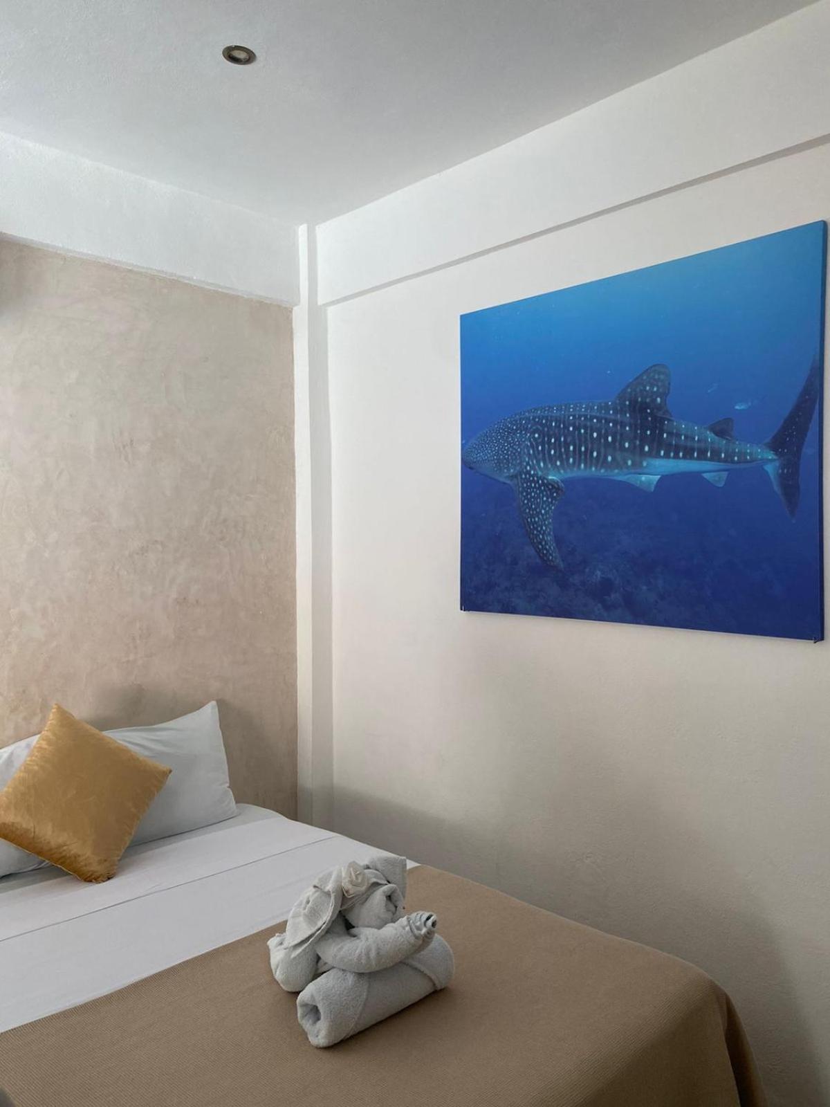 Pelicano 3* Isla Holbox